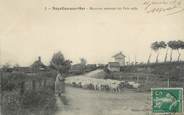 80 Somme / CPA FRANCE 80 "Noyelles sur Mer, moutons rentrant des Près Salés"