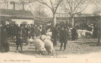 CPA FRANCE 24 "Sarlat, un marché" / COCHON