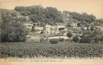 CPA FRANCE 37 "Vouvray, les vignes à la vallée Chartier"
