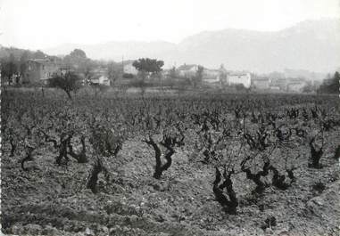 / CPSM FRANCE 83 "Le plan du Castellet, vue d'ensemble"