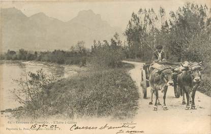 CPA FRANCE 38 "Env. de Grenoble, L'Isère à Gières"