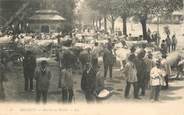 74 Haute Savoie CPA FRANCE 74 "Annecy, le Marché au Bétail"