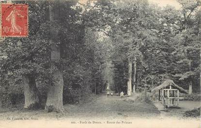 CPA FRANCE 28 "Dreux, la Forêt, la route des Princes"