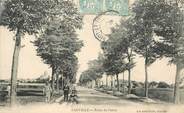 28 Eure Et Loir CPA FRANCE 28 "Janville, la route du Puiset"