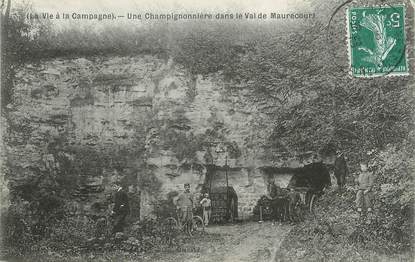 / CPA FRANCE 78 "Maurecourt, une champignonnière dans le val de Maurecourt"