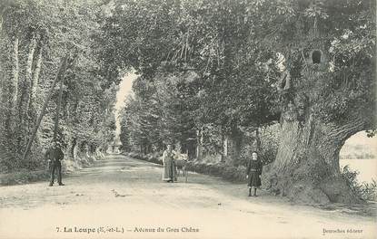 CPA FRANCE 28 "La Loupe, avenue du Gros Chêne"