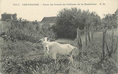 / CPA FRANCE 78 "Chevreuse, dans les fossés du château de la Madeleine" / CHEVRE