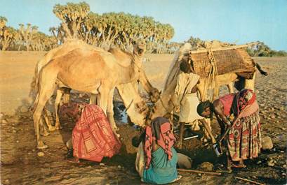 CPSM AFRIQUE / AFARS et ISSAS / DJIBOUTI