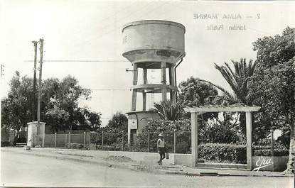 CPSM ALGERIE "Alma Marine, jardin public"