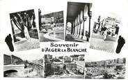 Algerie CPSM ALGERIE "Souvenir d'Alger la Blanche"