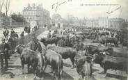 87 Haute Vienne CPA FRANCE 87 "Limoges, un champ de foire en limousin"