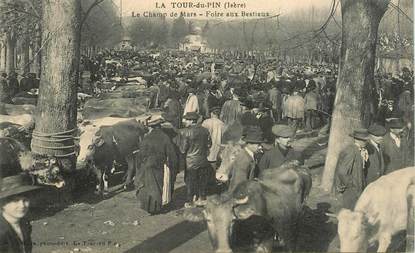 CPA FRANCE  38  "La Tour du Pin, Foire aux Bestiaux"