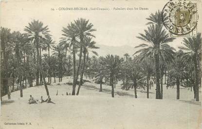 CPA ALGERIE  "Colomb Béchar, palmiers dans les dunes"