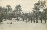 Algerie CPA ALGERIE  "Colomb Béchar, palmiers dans les dunes"