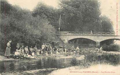 CPA FRANCE 55 "Revigny aux vaches, les poules d'eau"