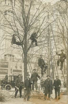 CARTE PHOTO FRANCE 75 "Paris, un élagueur"