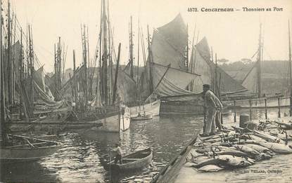 CPA FRANCE 29 "Concarneau, Thonniers au Port"