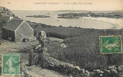 CPA FRANCE 29 "Carantec, L'Ile  Callot"