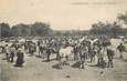 CPA FRANCE 29 "Landerneau, la Foire aux chevaux"