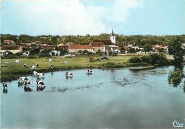 / CPSM FRANCE 70 "Soing, le village et les bords de la Saône"