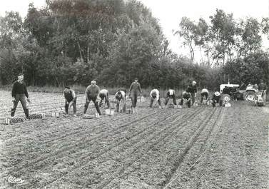 / CPSM FRANCE 71 "Pépinières Letourneau Burgy, plantation d'une pépinière"