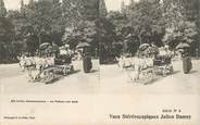 75 Pari CPA FRANCE 75005 "Paris, Jardin d'Acclimatation" / ANE / CARTE STEREO