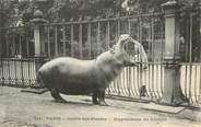 75 Pari CPA FRANCE 75005 "Paris, Hippopotame" / JARDIN DES PLANTES / ZOO