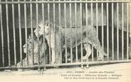 75 Pari CPA FRANCE 75005 "Paris, Lion et Lionne" / JARDIN DES PLANTES / ZOO