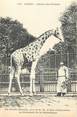 75 Pari CPA FRANCE 75005 "Paris, Girafe" / JARDIN DES PLANTES / ZOO