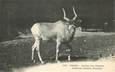 CPA FRANCE 75005 "Paris, Antilope" / JARDIN DES PLANTES / ZOO