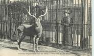 75 Pari CPA FRANCE 75005 "Paris, Cerf" / JARDIN DES PLANTES / ZOO