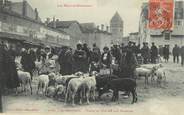 31 Haute Garonne CPA FRANCE  31 "Saint Gaudens, place u marché aux moutons"