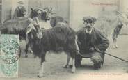 31 Haute Garonne CPA FRANCE 31 "le chevrier et son troupeau"