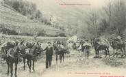 66 PyrÉnÉe Orientale CPA FRANCE 66 "Muletiers transportant du bois"