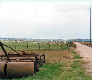 / CPSM FRANCE 71 "Lays sur le Doubs, la campagne"