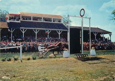 / CPSM FRANCE 71 "Paray le Monial, le champ de courses"