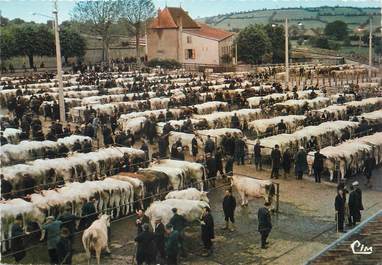 / CPSM FRANCE 71 "Saint Christophe en Brionnais, la cléèbre foire aux bestiaux"