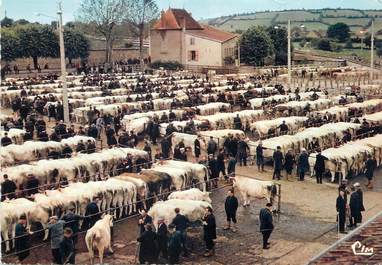 / CPSM FRANCE 71 "Saint Christophe en Brionnais, la célèbre foire aux bestiaux "