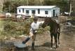 / CPSM FRANCE 71 "Forêt de Saint Prix, Ranch du Haut Folin" / PONEY