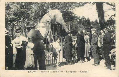 CPA FRANCE 69 "Lyon, Parc de la Tête d'Or, l’Éléphant Loulou"