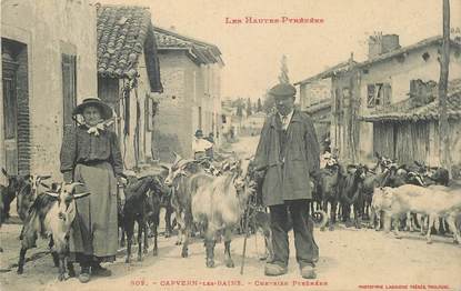 CPA FRANCE 65 "Capvern les Bains, chevrier pyrénéen"