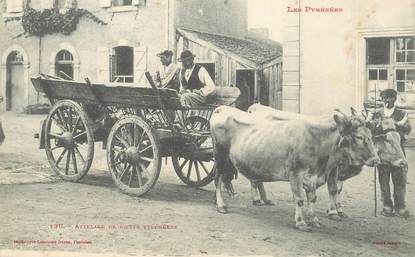  CPA FRANCE 65 "Attelage de boeufs pyrénéens"