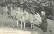 65 Haute PyrÉnÉe  CPA FRANCE 65 "Les Pyrénées, attelage d’ânes"