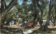 06 Alpe Maritime   CPSM FRANCE 06 "Menton, le camping"