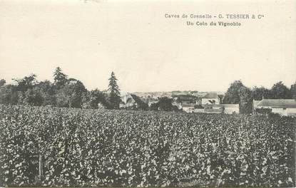 / CPA FRANCE 51 "Caves de Grenelle, G. Tessier et Cie, un coin du vignoble"