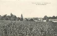 51 Marne / CPA FRANCE 51 "Caves de Grenelle, G. Tessier et Cie, un coin du vignoble"