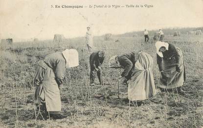 / CPA FRANCE 51 "En Champagne, le travail de la vigne"
