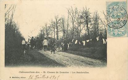 / CPA FRANCE 52 "Châteauvillain, chasses du domaine, les banderolles"