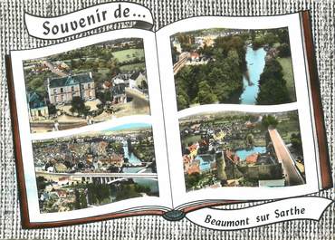 / CPSM FRANCE 72 " Beaumont sur Sarthe "