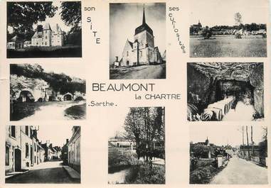 / CPSM FRANCE 72 "Beaumont la Chartre, vue d'ensemble"